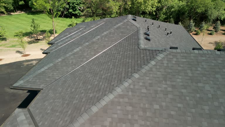 Best Green or Eco-Friendly Roofing Solutions  in , MN