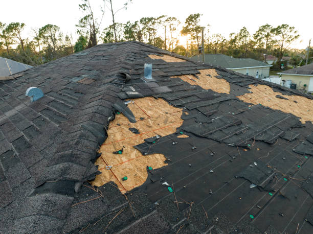 Best Sheet Metal Roofing  in , MN